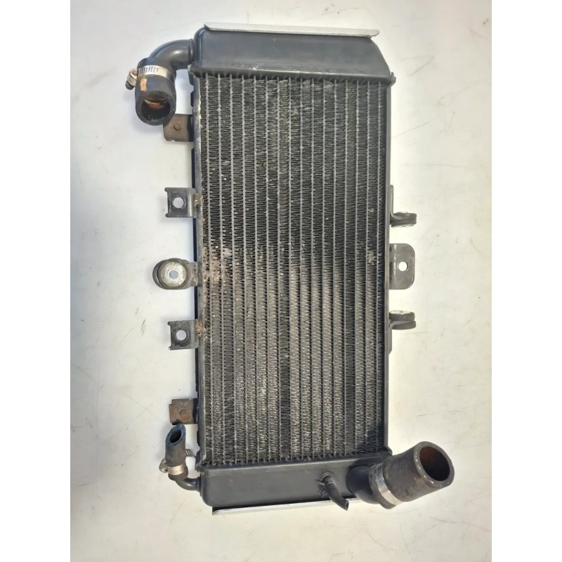 Radiatore Yamaha FZS 600 FZS 600 Fazer 