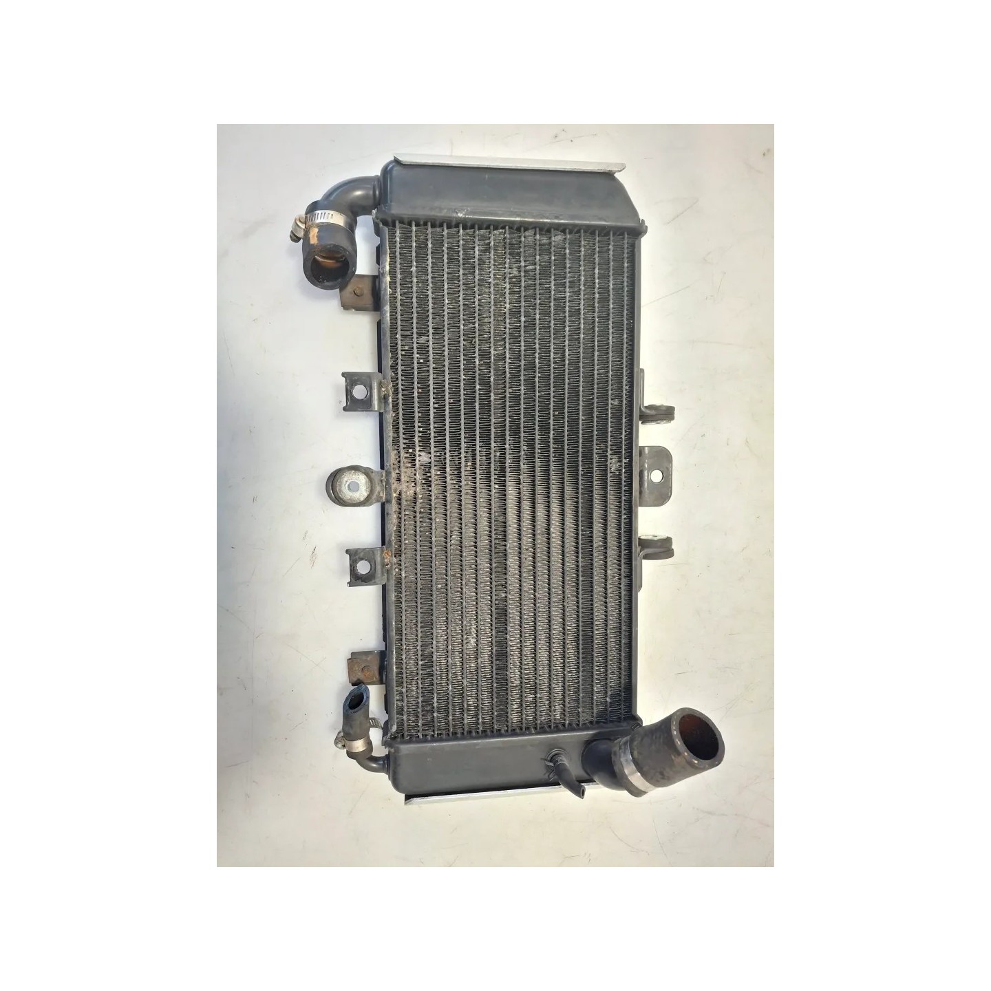 Radiatore Yamaha FZS 600 FZS 600 Fazer 
