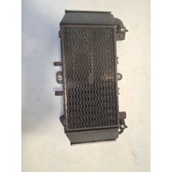 Radiatore Yamaha FZS 600 FZS 600 Fazer 