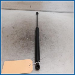 Espositore SX portello RENAULT Zoe
