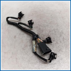 CABLAGGIO RAMPA INIETTORI RENAULT Clio III
