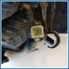 Fanale post. dx. SUZUKI SX4 (03/06>03/15