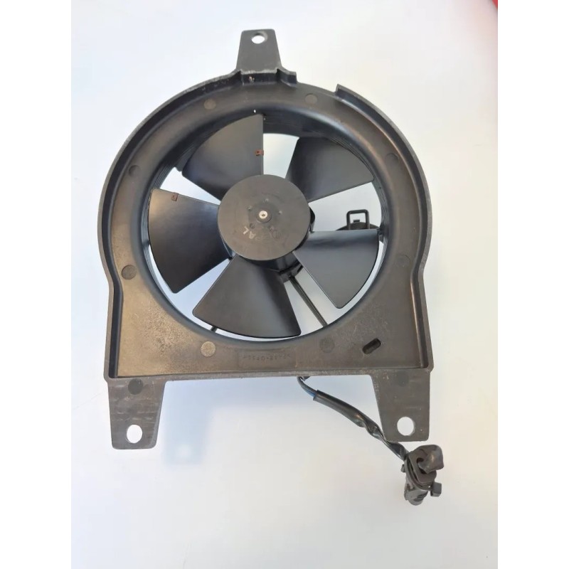 Elettroventola Bmw F 800 R (217) (E3) (09-15) F 800 R 