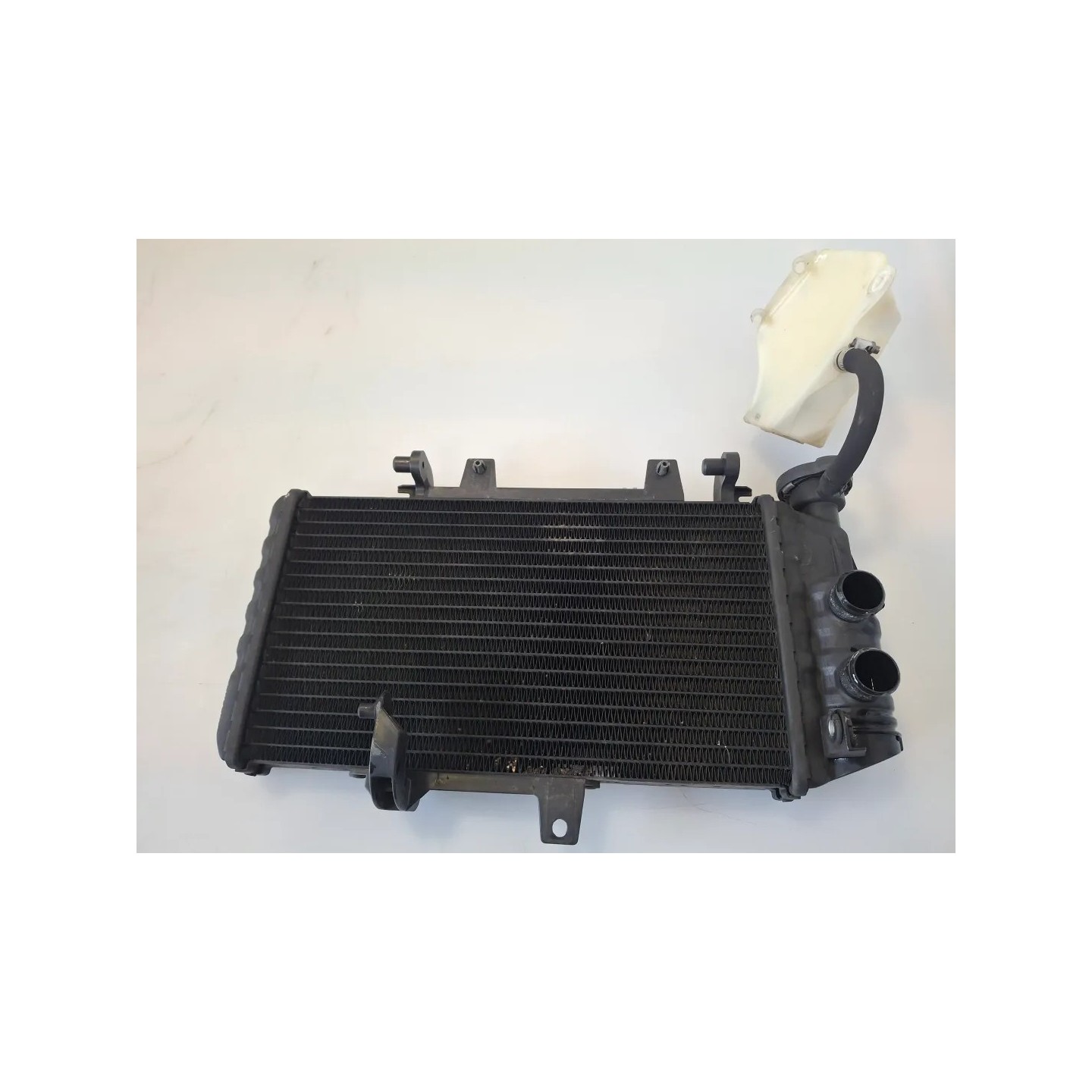 Radiatore Bmw F 800 R (217) (E3) (09-15) F 800 R 