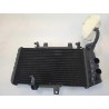 Radiatore Bmw F 800 R (217) (E3) (09-15) F 800 R 