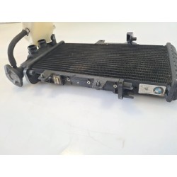 Radiatore Bmw F 800 R (217) (E3) (09-15) F 800 R 