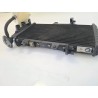 Radiatore Bmw F 800 R (217) (E3) (09-15) F 800 R 