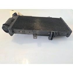 Radiatore Bmw F 800 R (217) (E3) (09-15) F 800 R 