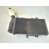 Radiatore Bmw F 800 R (217) (E3) (09-15) F 800 R 