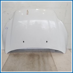 Cofano Hood Assy - Less Hinges | ant. FORD Focus IV