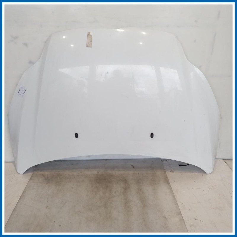 Cofano Hood Assy - Less Hinges | ant. FORD Focus IV