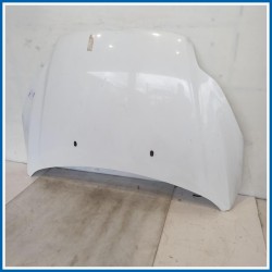 Cofano Hood Assy - Less Hinges | ant. FORD Focus IV