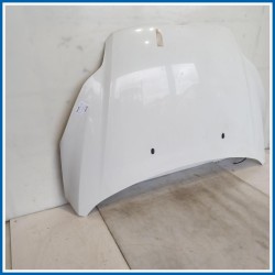 Cofano Hood Assy - Less Hinges | ant. FORD Focus IV
