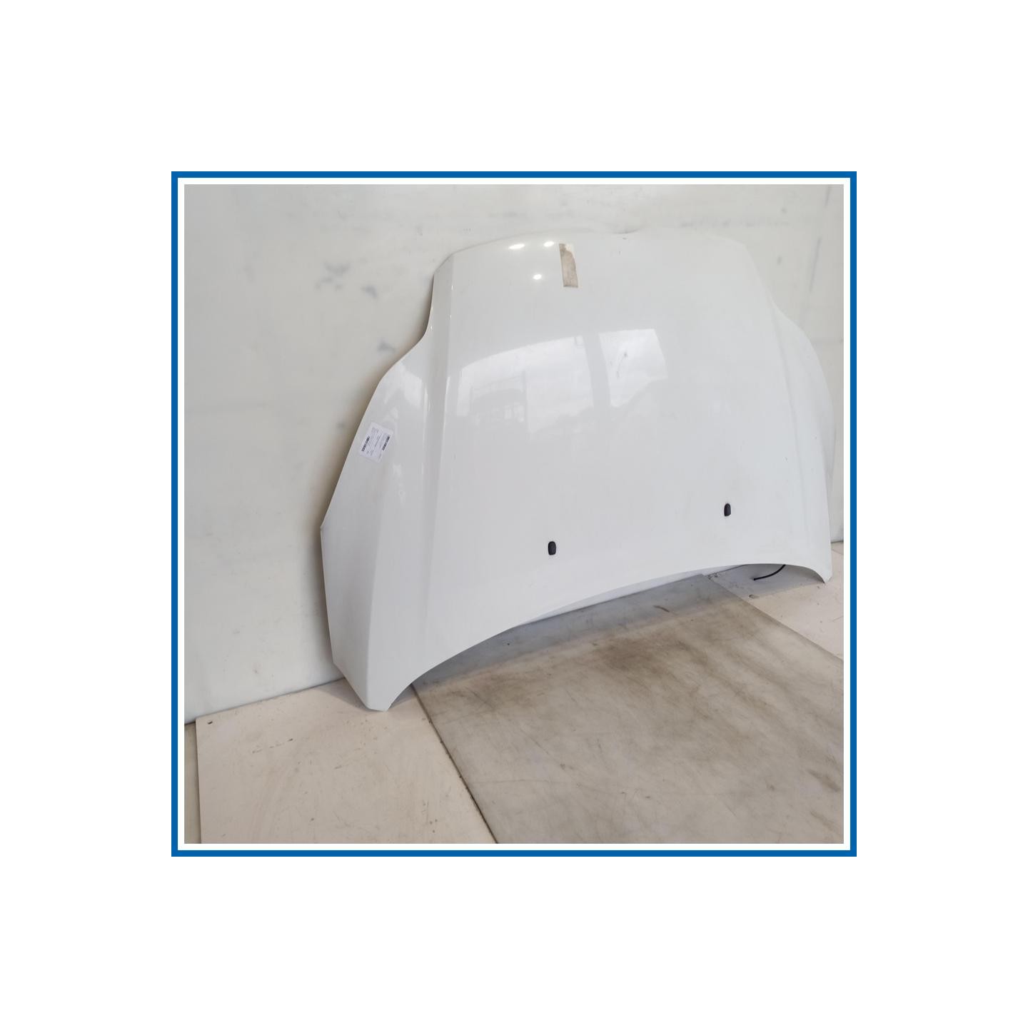 Cofano Hood Assy - Less Hinges | ant. FORD Focus IV