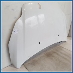 Cofano Hood Assy - Less Hinges | ant. FORD Focus IV