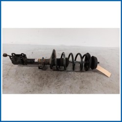Ammortizzatore ant. sx. DACIA Duster I