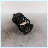 Ammortizzatore ant. sx. FORD Kuga I