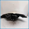 Proiettore ant. dx. MAZDA 5 II