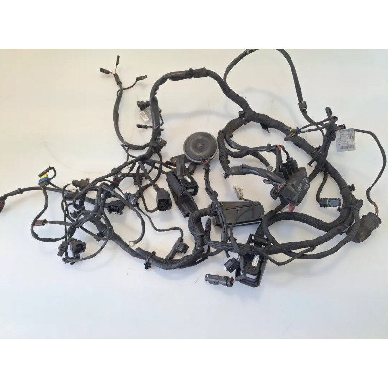 Cablaggio impianto elettrico telaio Bmw F 800 R (217) (E3) (09-15) F 800 R 