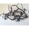 Cablaggio impianto elettrico telaio Bmw F 800 R (217) (E3) (09-15) F 800 R 