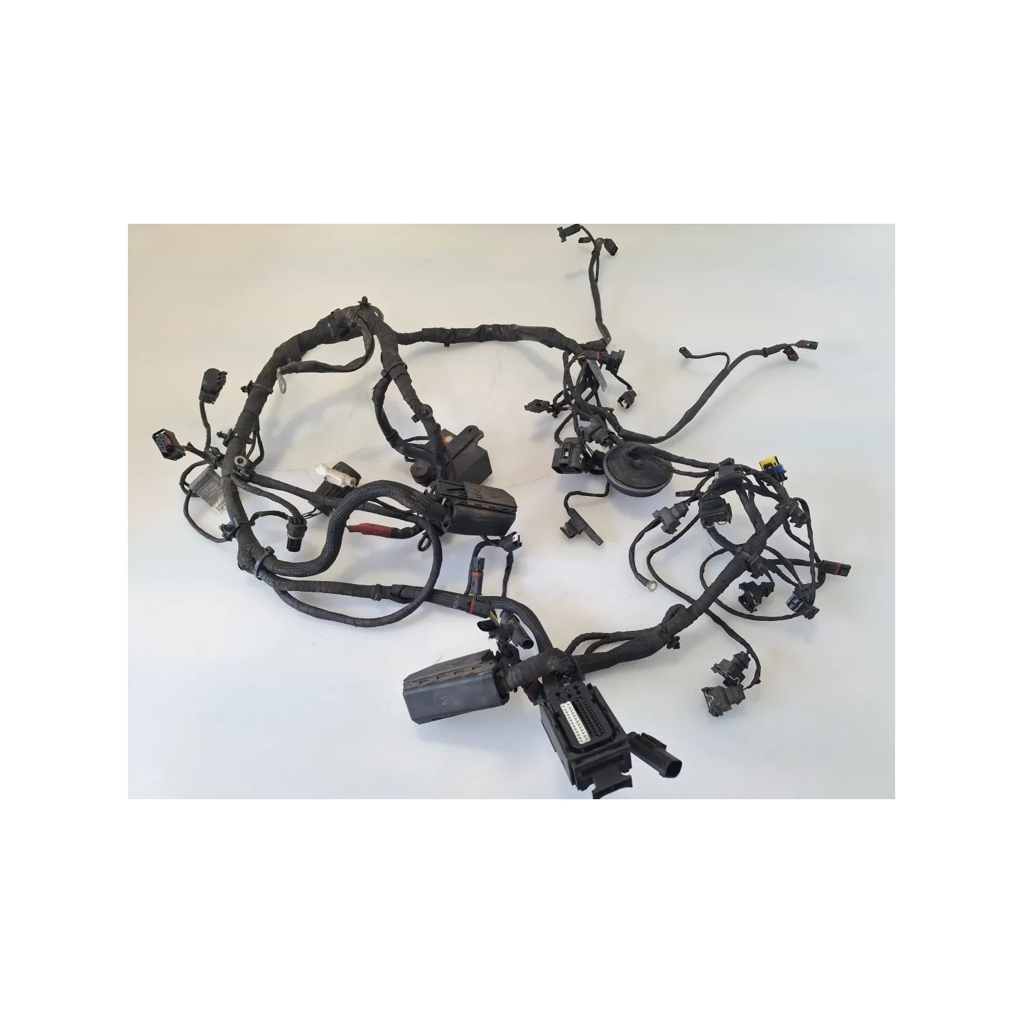 Cablaggio impianto elettrico telaio Bmw F 800 R (217) (E3) (09-15) F 800 R 
