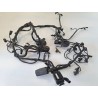 Cablaggio impianto elettrico telaio Bmw F 800 R (217) (E3) (09-15) F 800 R 