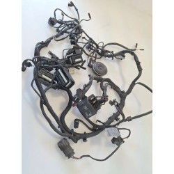 Cablaggio impianto elettrico telaio Bmw F 800 R (217) (E3) (09-15) F 800 R 