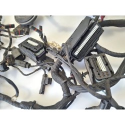 Cablaggio impianto elettrico telaio Bmw F 800 R (217) (E3) (09-15) F 800 R 