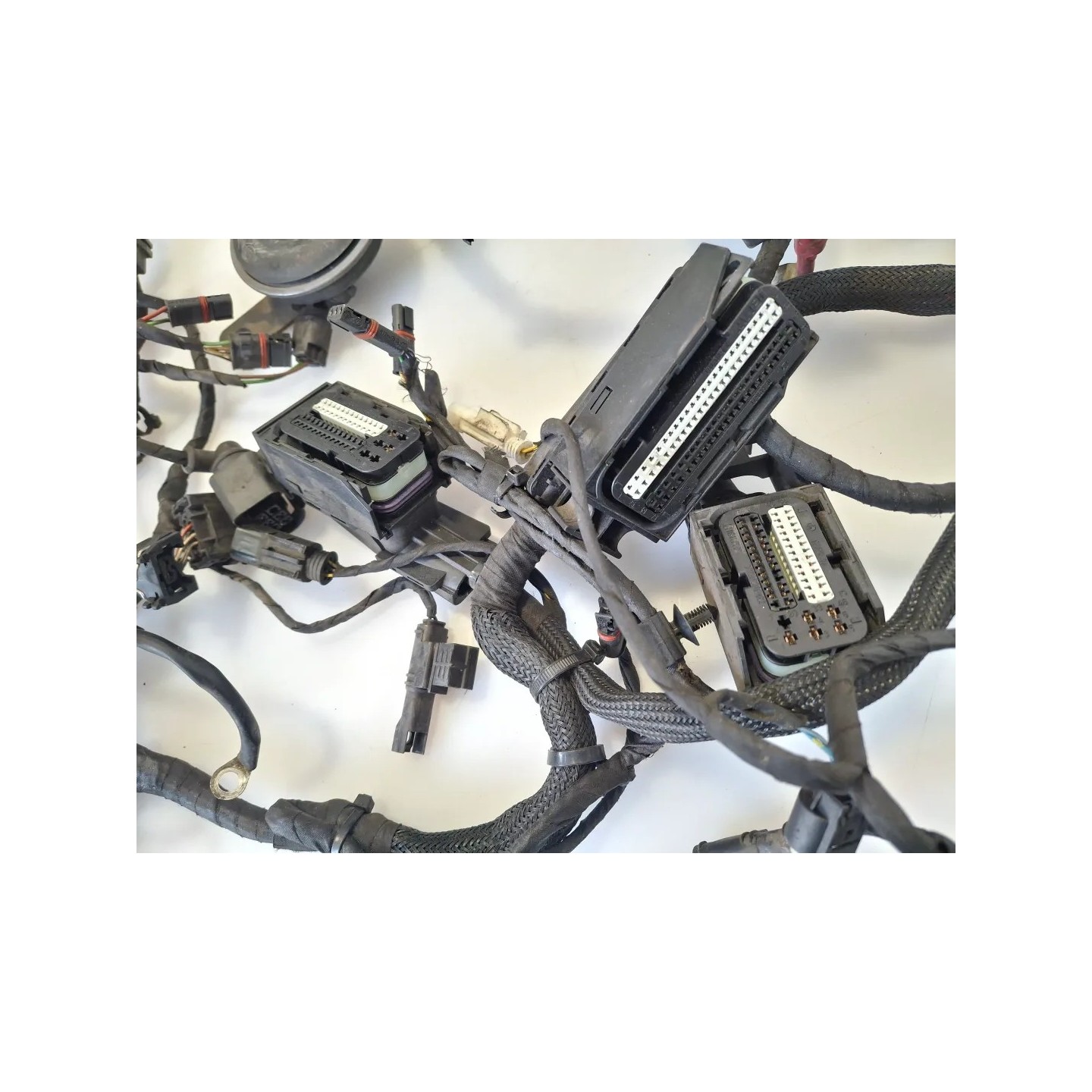 Cablaggio impianto elettrico telaio Bmw F 800 R (217) (E3) (09-15) F 800 R 