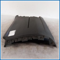 Modanatura Fiancata laterale posteriore DX FORD Transit VI
