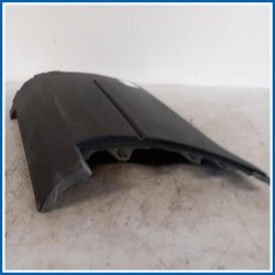 Modanatura Fiancata laterale posteriore DX FORD Transit VI