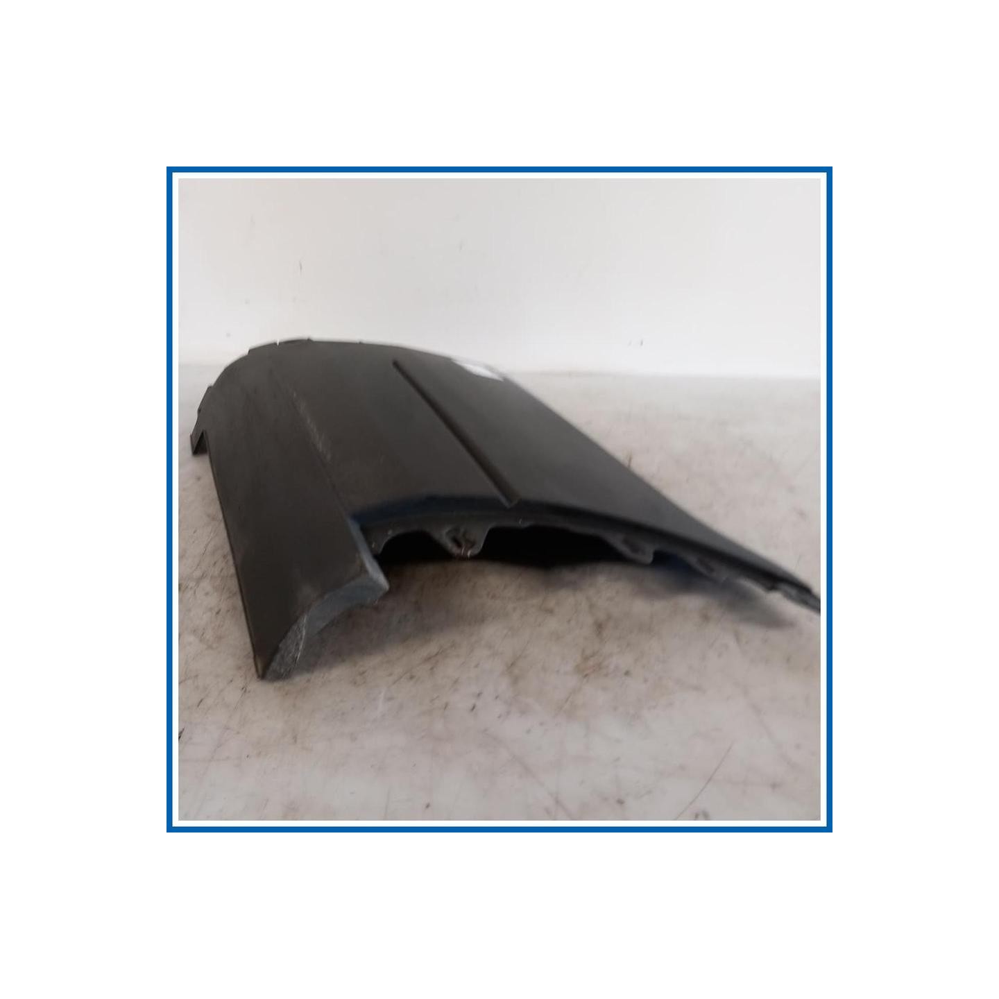 Modanatura Fiancata laterale posteriore DX FORD Transit VI
