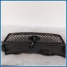 Griglia radiatore FORD Focus II