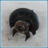 Fusello ruota ant. sx. SEAT Leon 1P1