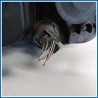 Proiettore ant. dx. LAND ROVER Freelander II