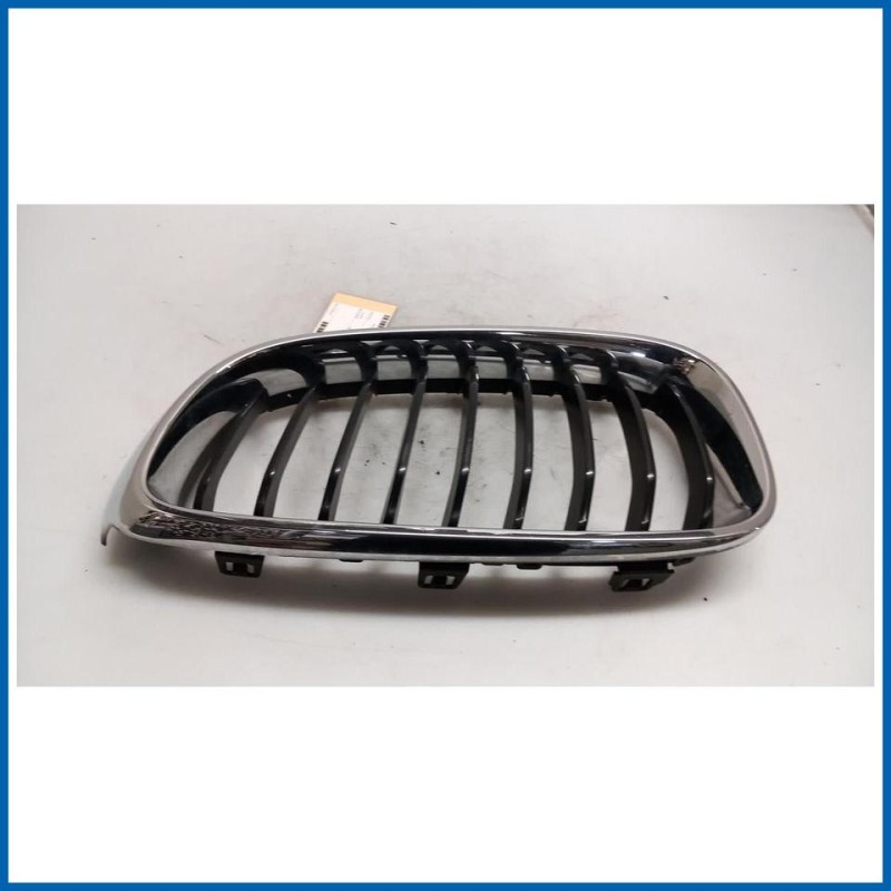 Griglia radiatore sx. BMW Serie 3 F34 GT