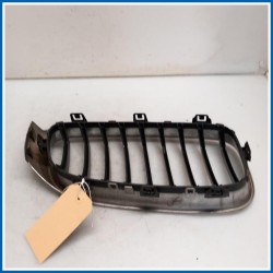Griglia radiatore sx. BMW Serie 3 F34 GT