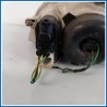 Proiettore ant. dx. FIAT Seicento