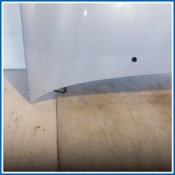 Cofano ant. RENAULT Clio II