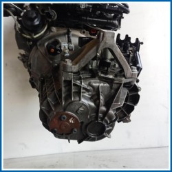 Cambio FORD Focus II