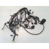 Cablaggio impianto elettrico telaio Moto Guzzi Nevada 750 (04-09) Nevada 750 Classic 