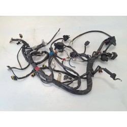 Cablaggio impianto elettrico telaio Moto Guzzi Nevada 750 (04-09) Nevada 750 Classic 