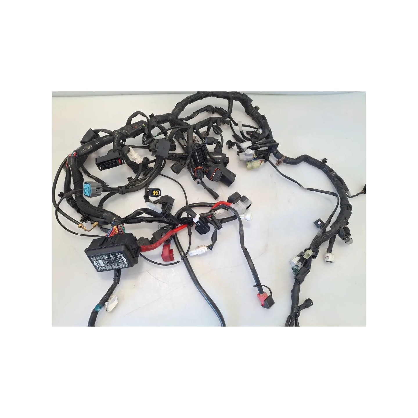 Cablaggio impianto elettrico telaio Yamaha Tracer 9 (E5) Tracer 9