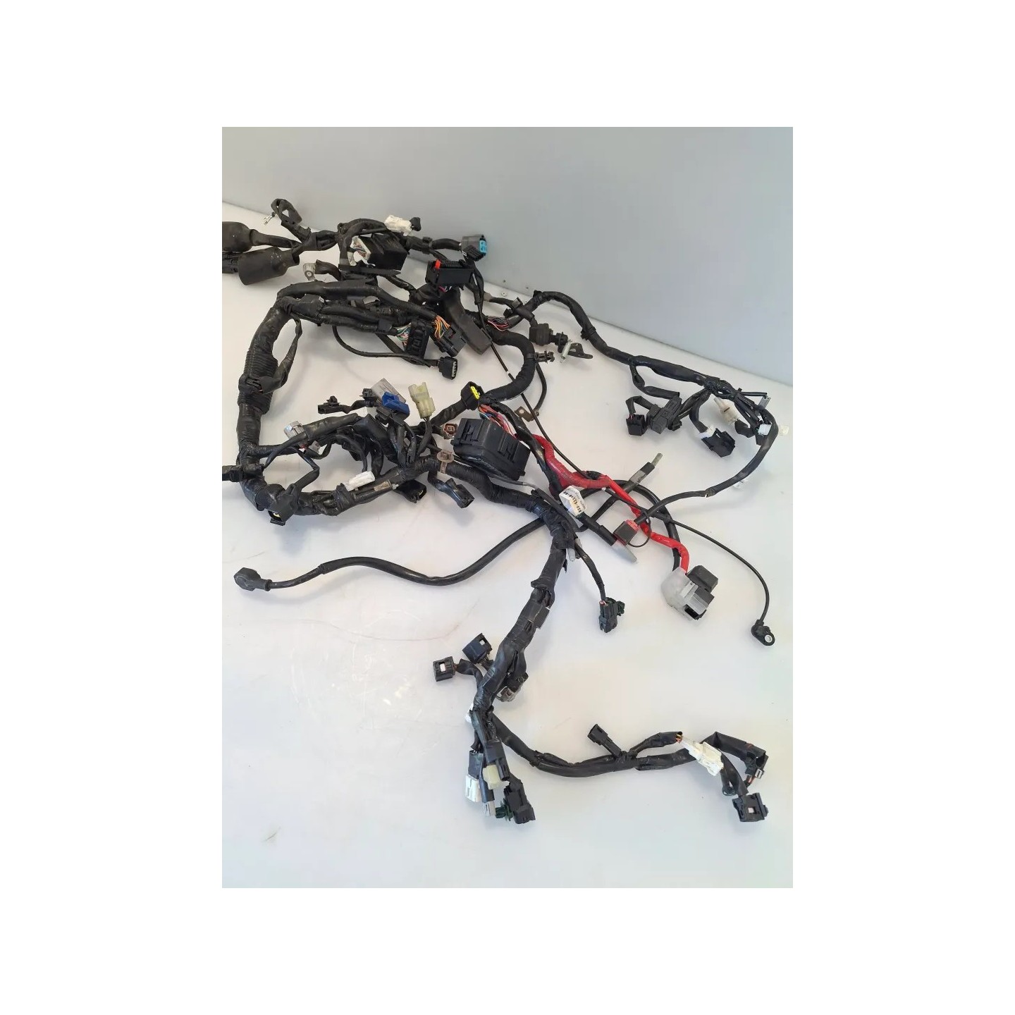 Cablaggio impianto elettrico telaio Yamaha Tracer 9 (E5) Tracer 9 