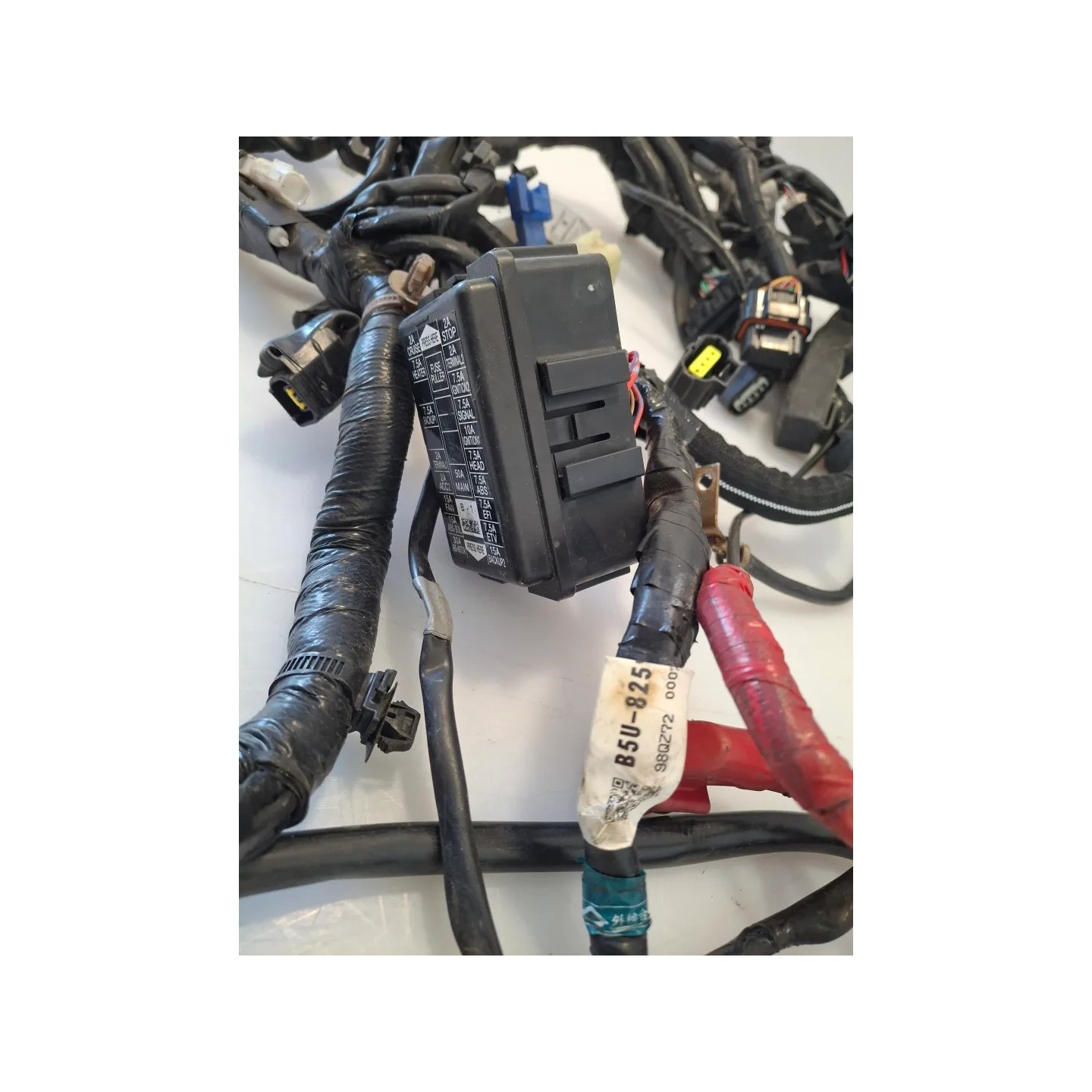 Cablaggio impianto elettrico telaio Yamaha Tracer 9 (E5) Tracer 9 