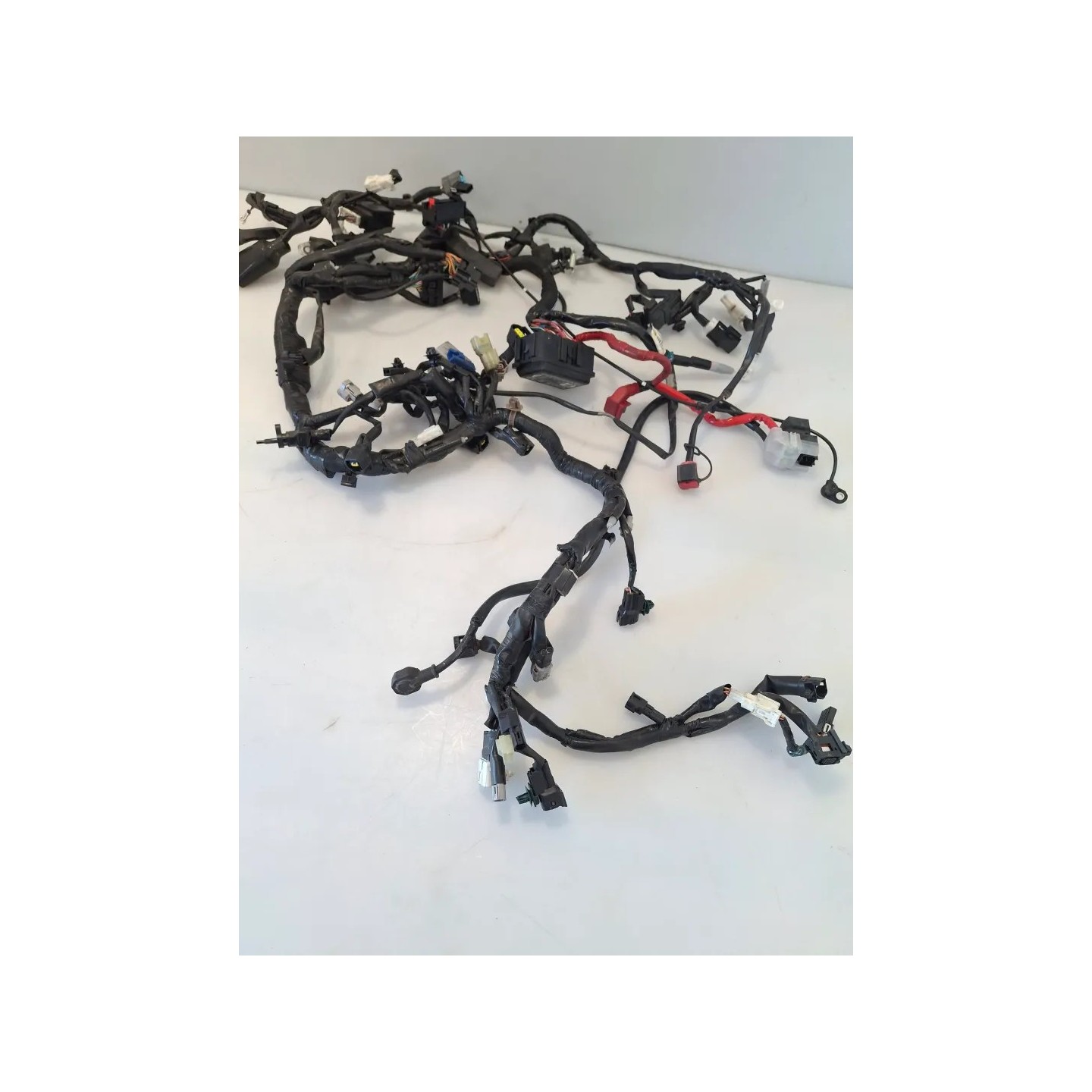 Cablaggio impianto elettrico telaio Yamaha Tracer 9 (E5) Tracer 9 