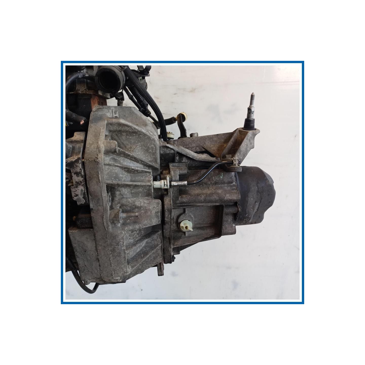 Cambio RENAULT Clio III SW