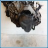 Cambio RENAULT Clio III SW