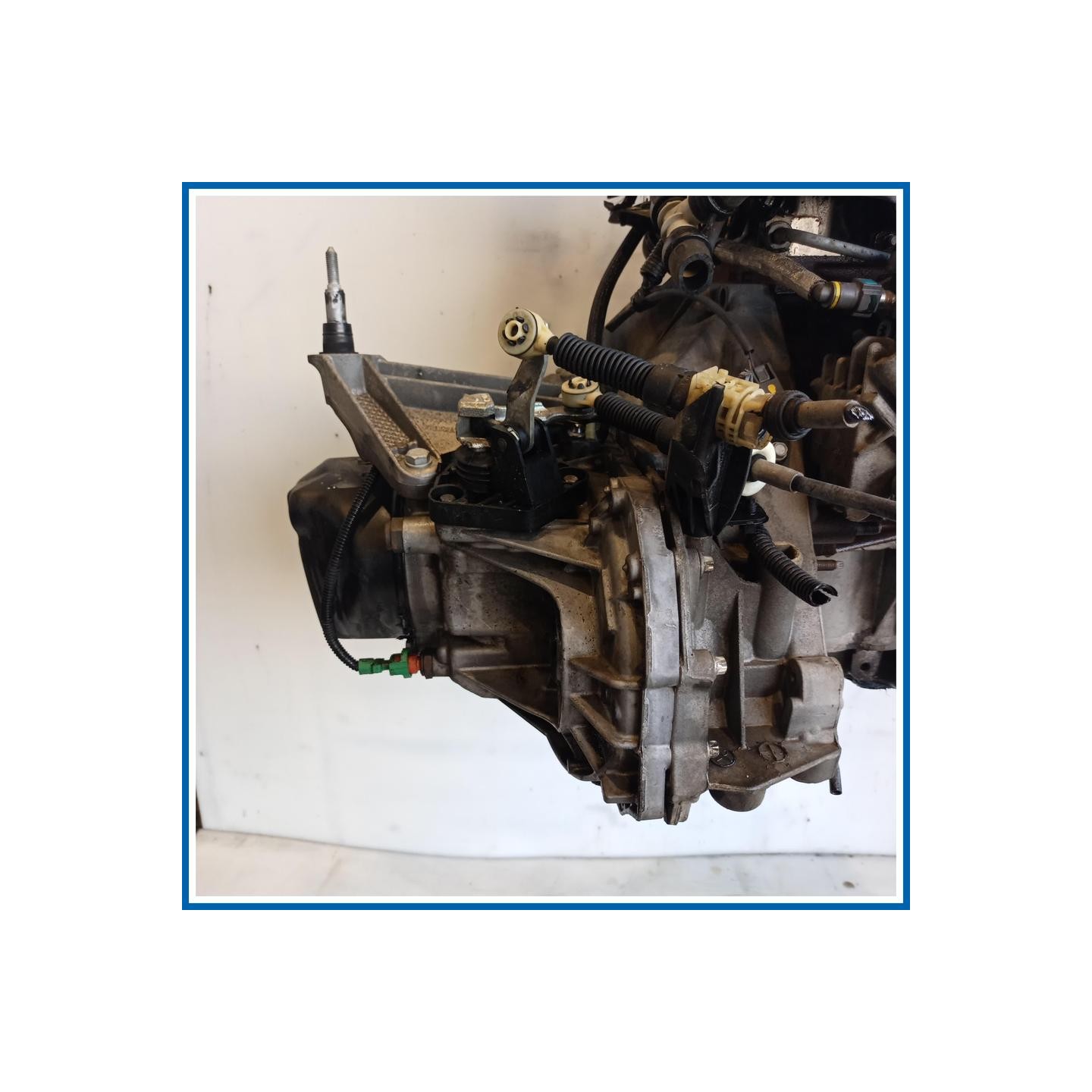 Cambio RENAULT Clio III SW