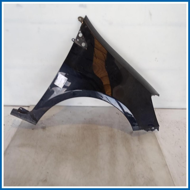 Parafango ant. dx. RENAULT Clio III SW